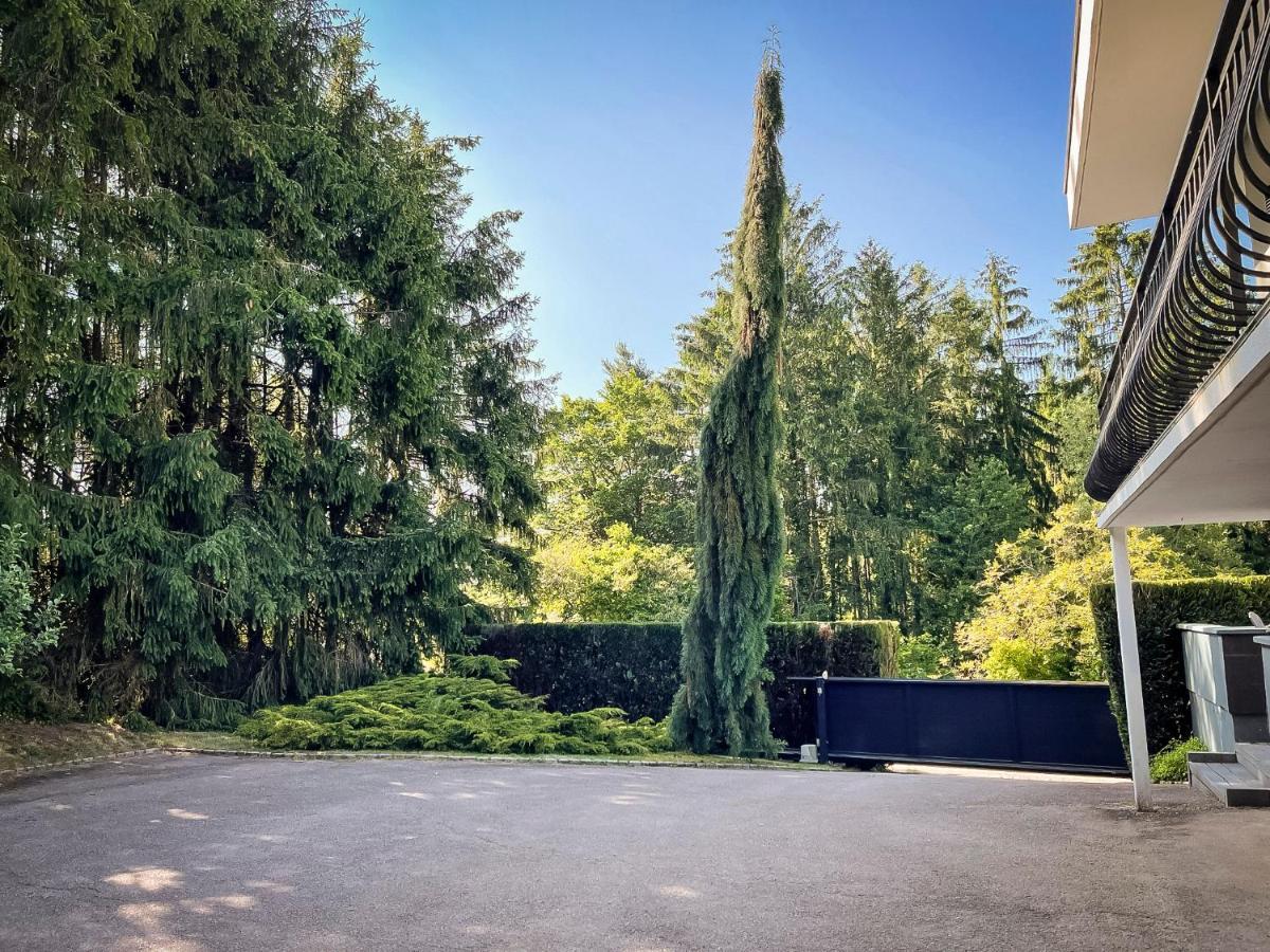 Villa 250M2 Avec Piscine Chauffee & Spa & Kota-Grill & Sauna Saint-Die-des-Vosges Bagian luar foto